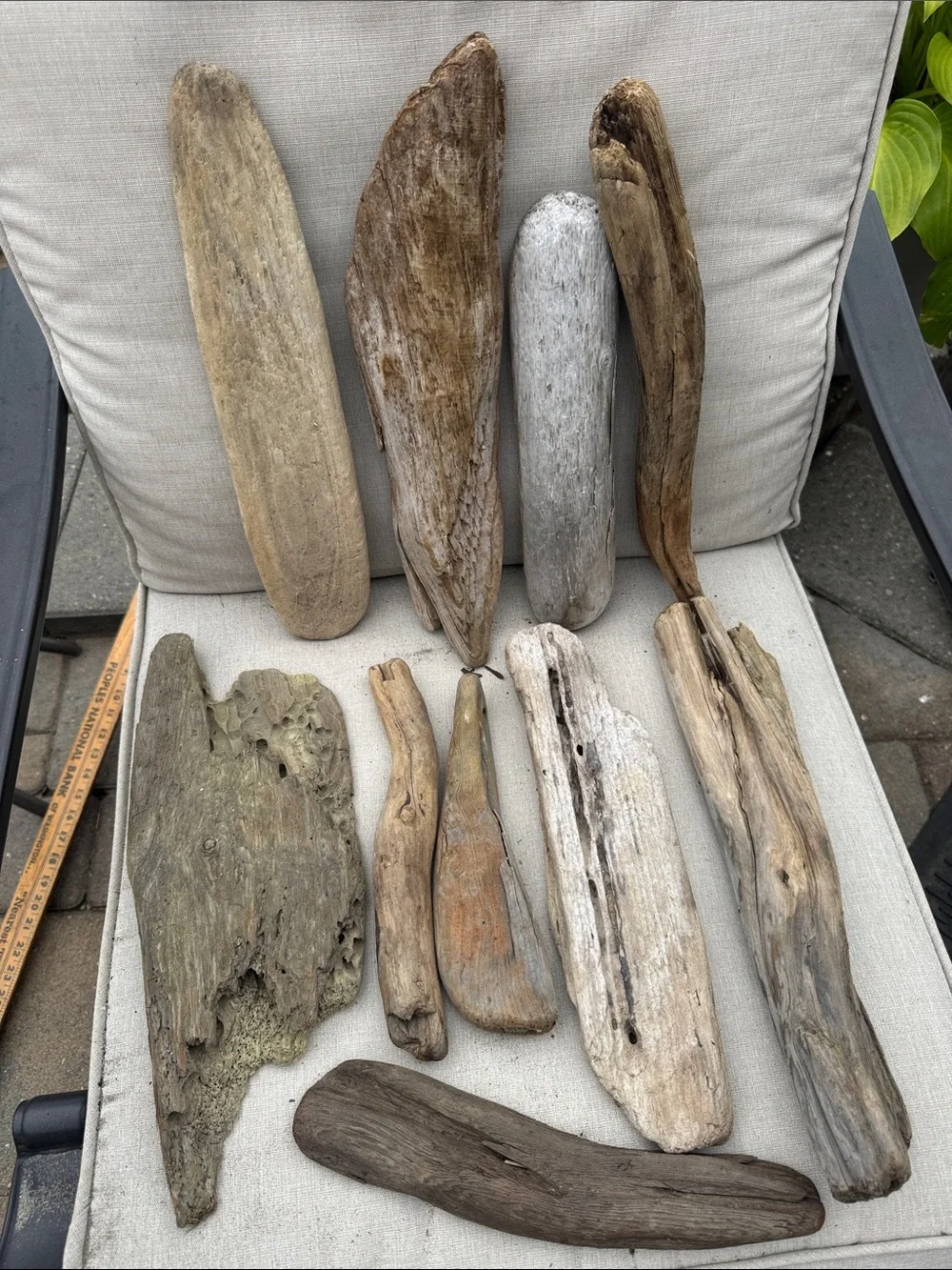 10 pc (5lb shipped) Box of Natural Driftwood Pieces for decor, crafts, projects